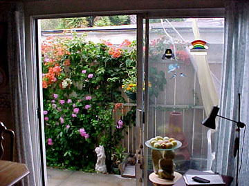a-patio1.JPG (46120 bytes)